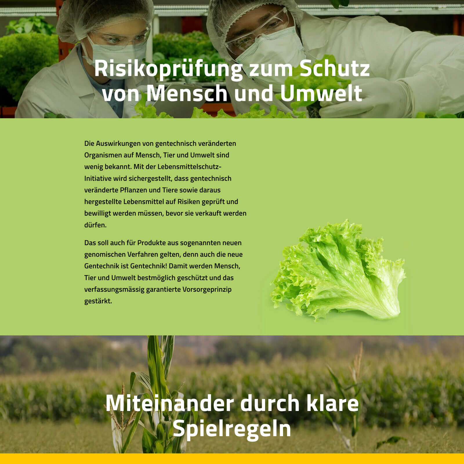 Screenshot der Startseite mit der Forderung «Risikoprüfung zum Schutz von Mensch und Umwelt»