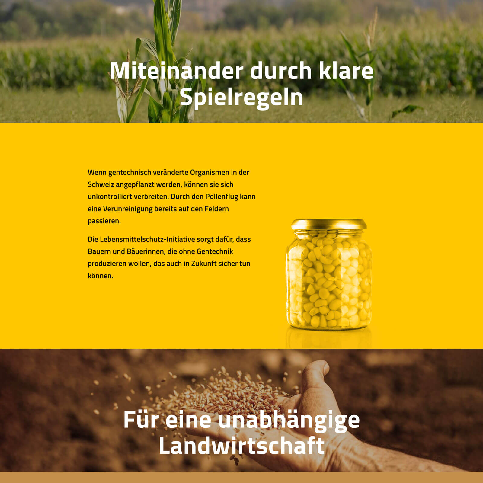 Screenshot der Startseite mit der Forderung «Miteinander durch klare Spielregeln»