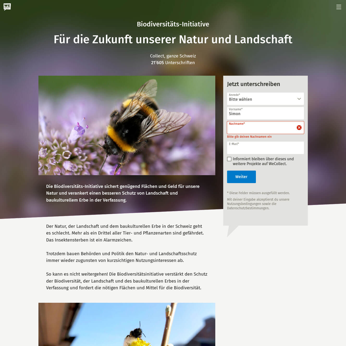 Screenshot einer beispielhaften Projekt-Landingpage
